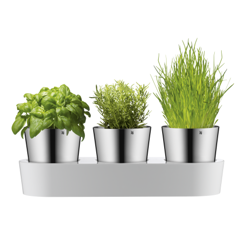 Samozavlažovací květináče