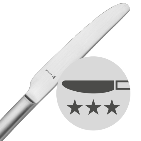 Large-Inserted-forged-steel-blades-matt-300.jpeg